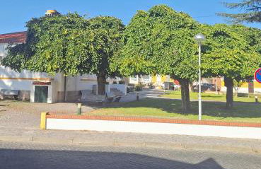 Casa dos pais - Foto 10
