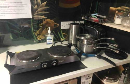 The Writer's Studio (stylish garden guesthouse) - Foto 4