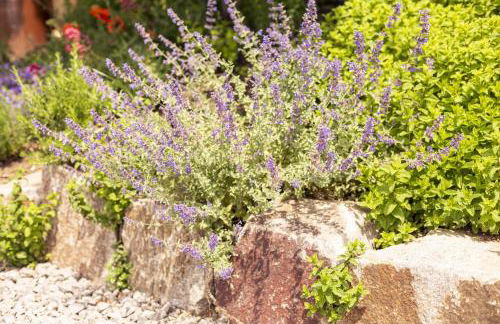 Hofquartier - Foto 14