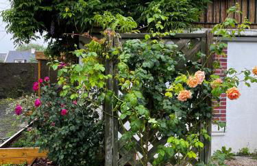 Studio GîTE COSY sur Jardin - Foto 24