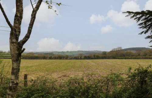 Woodcutters - Foto 16