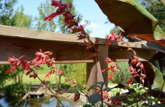 Gite de St Hilaire - Foto 32