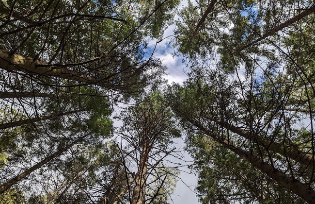 4 Person Holiday Home in Bralanda - Foto 5