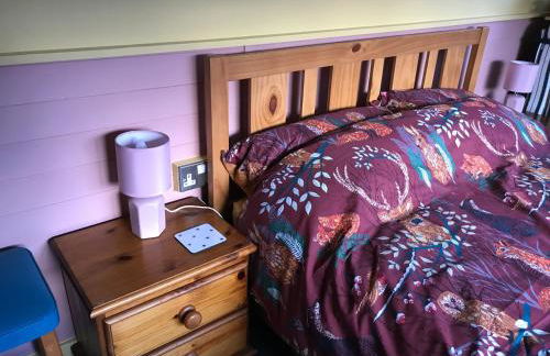 Poplar Lodge, Dee Valley Stays - cosy microlodge with detached private shower & WC - Photo 19