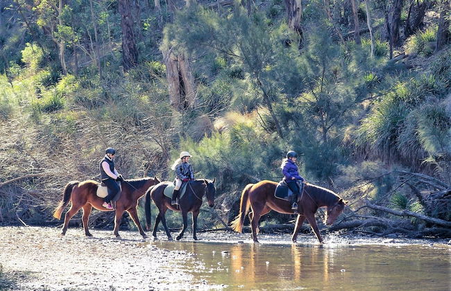 Turon Gates - Mountain Retreat - Foto 68