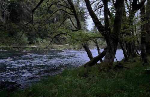 A Relaxing Getaway-A Backwoods Cabin SolDuc River - Foto 44