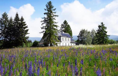 Butikowe apartamenty w Sudetach - TRZY MORZA - pod górą Trójmorski Wierch - Foto 34