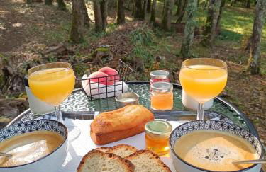 Le gîte de la cabane de l'oiseau - Foto 30