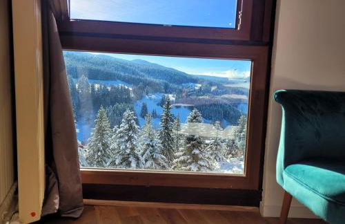 Lumineux 2 pièces vue montagne au pied des pistes avec parking privé - Foto 12