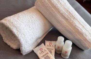 Vatican District, Roma, alloggio centrale - Photo 9