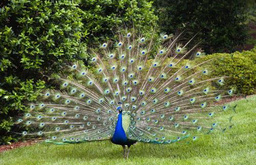 #ML - Aloha Hoʻonani 3BR Home - MT & Ocean Views! - Foto 68