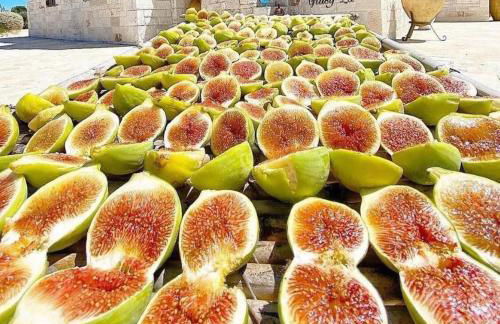 Dimora la Pinta ‘700 - Foto 20