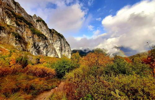 Ferienwohnung Bergliebe - Photo 15