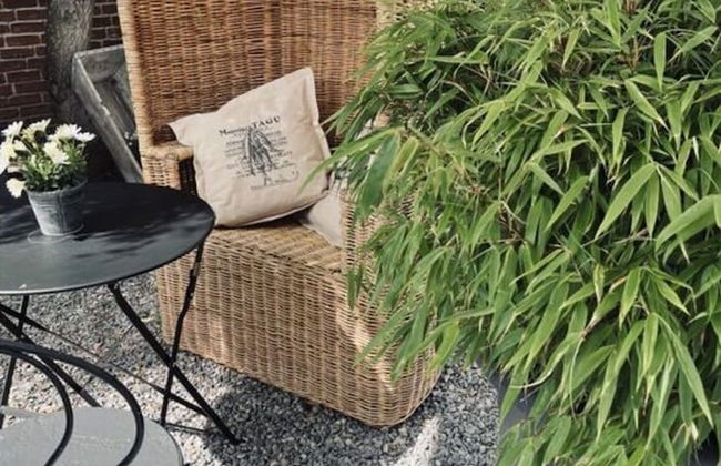 Schwanen Herz Comfortable Holiday Residence - Foto 25