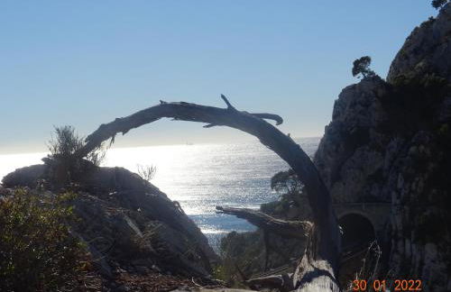 Les Ecrins d'Aix-en-Provence - Foto 46