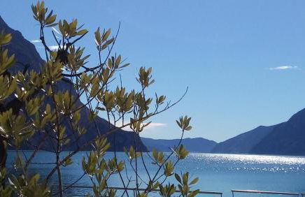 Ca del Lac - Foto 44