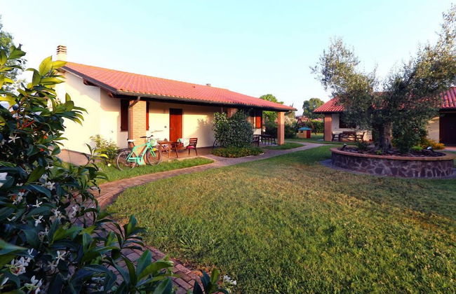 Agriturismo gli Etruschi - Foto 67