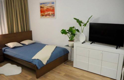 Studio Nr 4 close to Medicover and Paley Institute - Foto 4