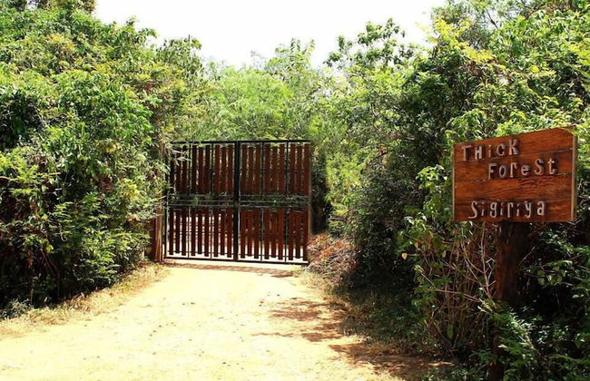 Thick forest sigiriya - Photo 30