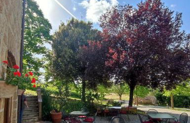 CasalPiano - Photo 53