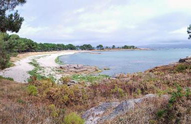 A Nosa Illa de Arousa - Foto 28