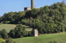 Aux deux Marronniers Cathares - Photo 30