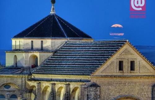 Rosmarinus Centro - Foto 19