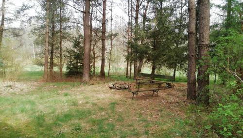 Przystań u Zosi - Foto 5