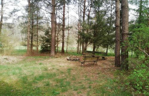 Przystań u Zosi - Foto 5