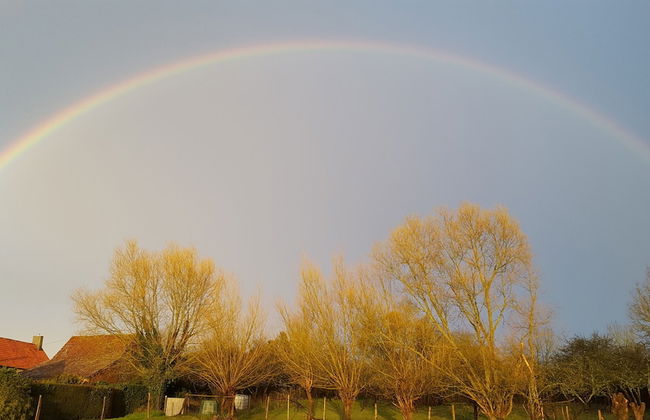 Entre Ciel et Marais - Foto 36