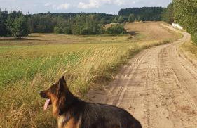Dom Na Skarpie - Ucieczka Na Wieś - Samodzielne wejście na szyfr, 100m2 - Foto 41