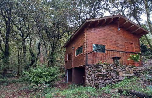 Veiga Mariña - Foto 48