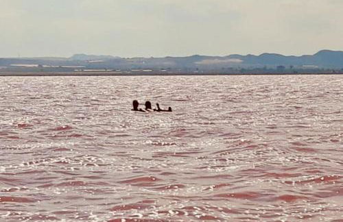 NEW! Romantic house at red lake in Torrevieja! - Foto 59