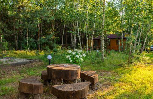 Siedlisko Janopole - Foto 57