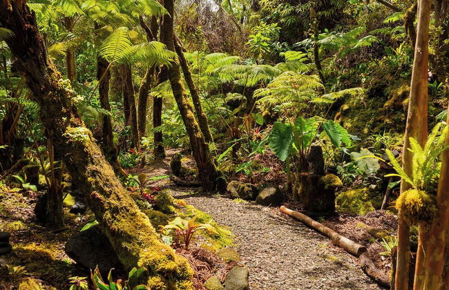 Volcano Artist Cottage - Foto 11