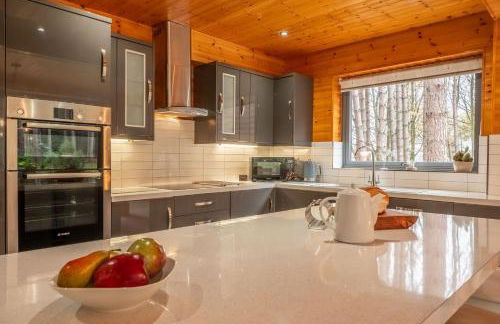 Woodpecker - Photo 16