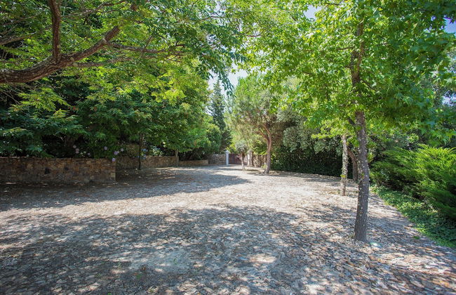 Local 9 - Casa do chapim azul - Foto 37