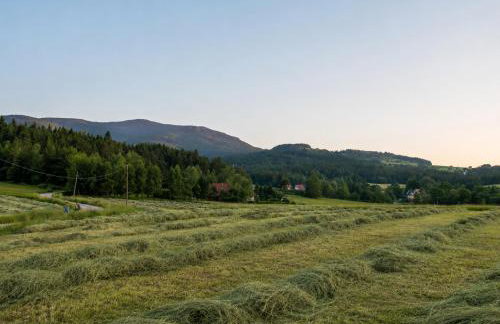 Biały Domek Świerczek - Jacuzzi, Balia Ruska SPA, Rowery, Altana i Grill w Słopnice - Foto 41