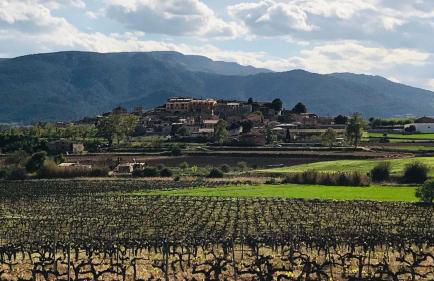 ROS RURAL Cal Ros - Foto 20