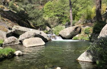 EL LLANO - El Hornillo, tu pueblo en la Sierra de Gredos. - Photo 58