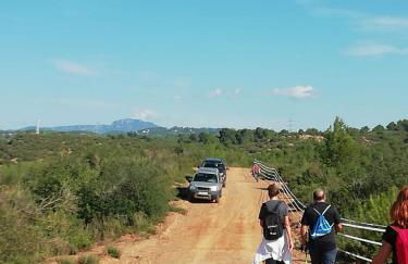 L'OLIVERA Casa Rural - Foto 39