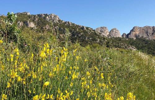 Les Dentelles du Ventoux - Gîte avec Piscine - Photo 16