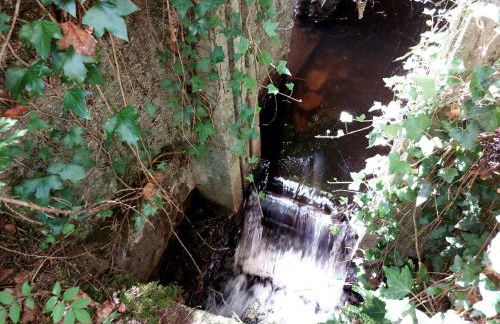 SAGE Studio - Foto 19