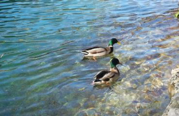 Plitvice ZG - Foto 49