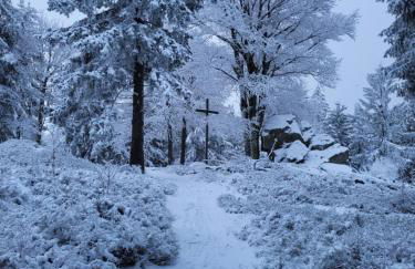 Studio "Auszeit wie dahoam" im Predigtstuhl Resort - Foto 25