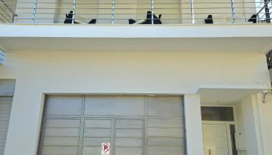 Mary's luxury apartment Nemea 2 - Foto 5