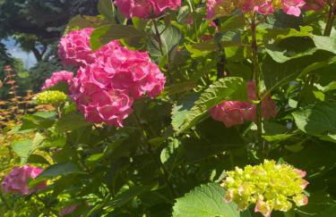 Peonia Apartment - appartamento vista lago - Foto 25