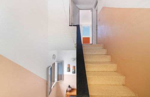 Siempreviva - Photo 21