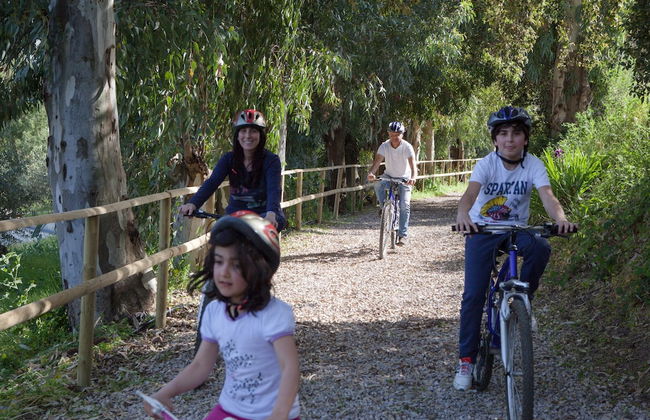 Agriturismo Al Poggetto - Photo 33