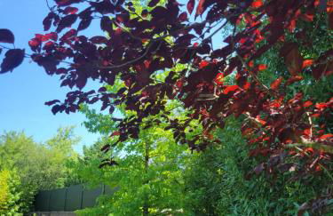 Casa Rural Jesuskoa - Foto 25